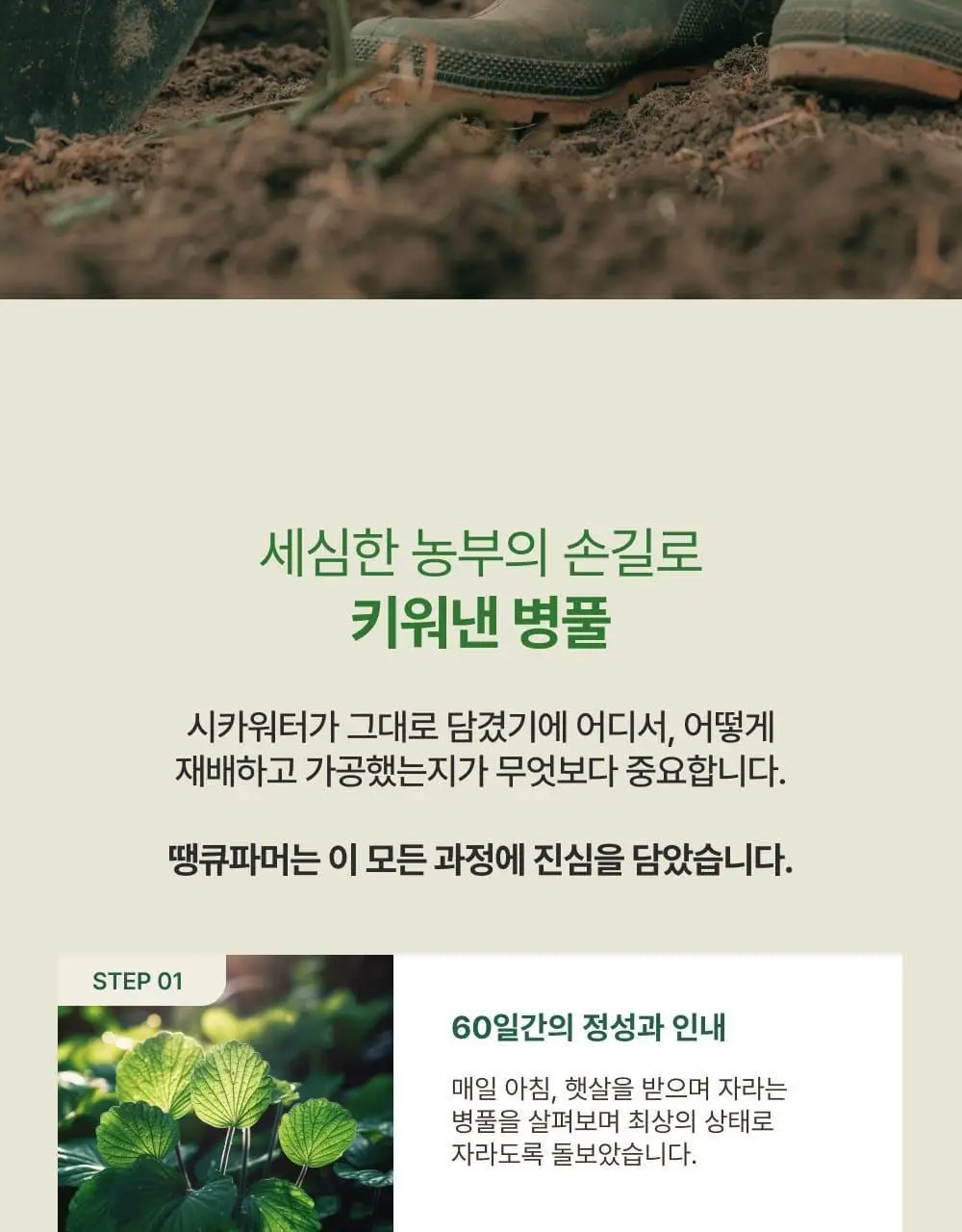 [김진경PICK/화해1위] 땡큐파머 피토 릴리풀 시카 약산성 젤클렌저 120ml 상세페이지 25
